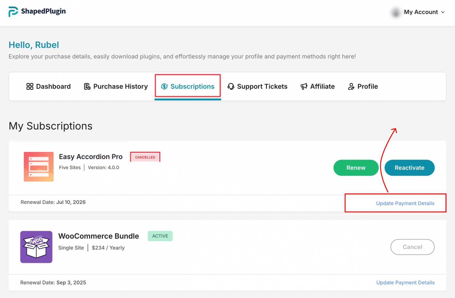 Check Card Rigor Easy Update Credit/Debit Card Billing Info – Easy Accordion Docs